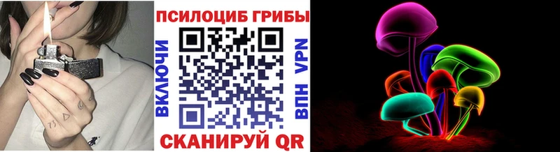 Галлюциногенные грибы Psilocybe  Ливны 